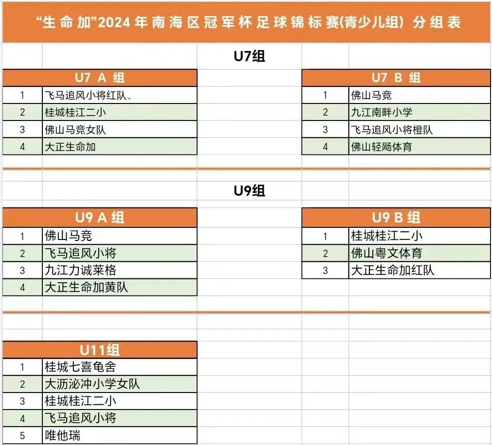南海区足球协会_足球赛冠军南海锦标区是谁_南海区冠军足球锦标赛